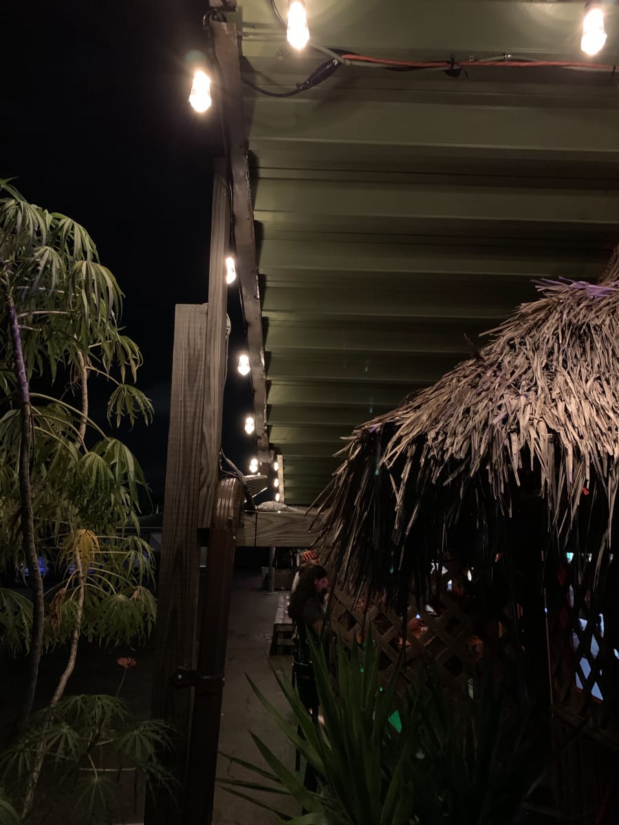 Bula Kafe – photo 2